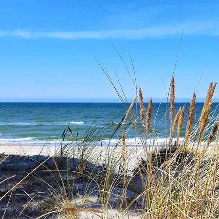 Goscinne Neptunia 住宿加早餐酒店