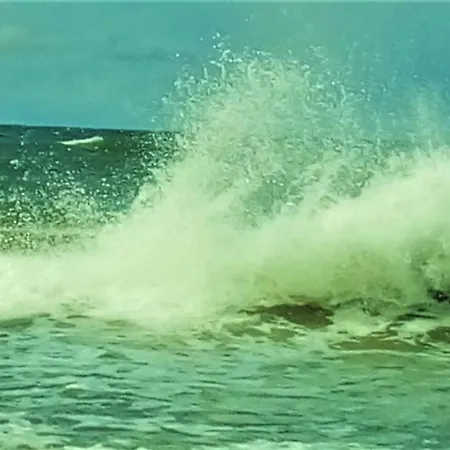 Goscinne Neptunia 3*