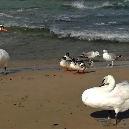 Goscinne Neptunia 3* Jarosławiec