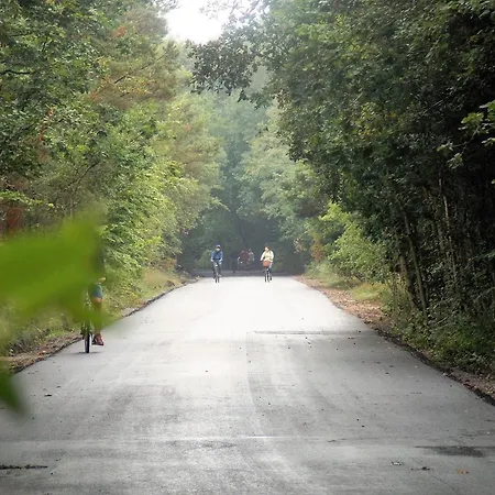 Goscinne Neptunia 住宿加早餐酒店