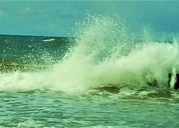 Goscinne Neptunia 3*