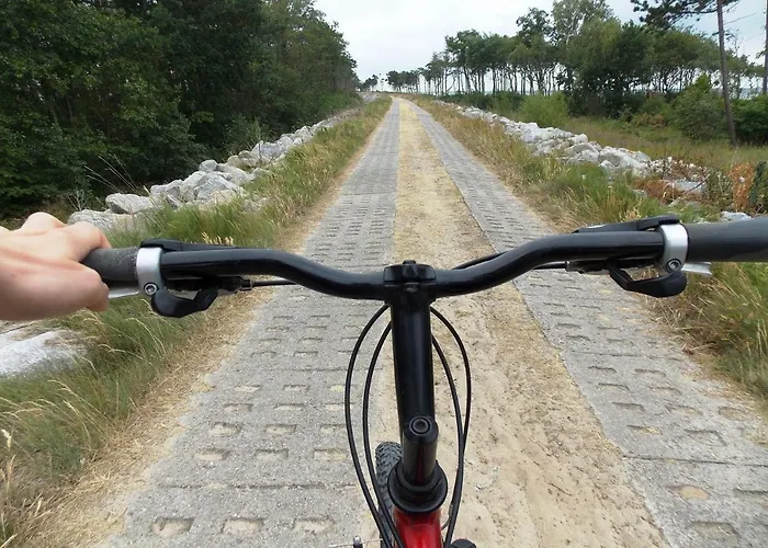 Bed & Breakfast Goscinne Neptunia