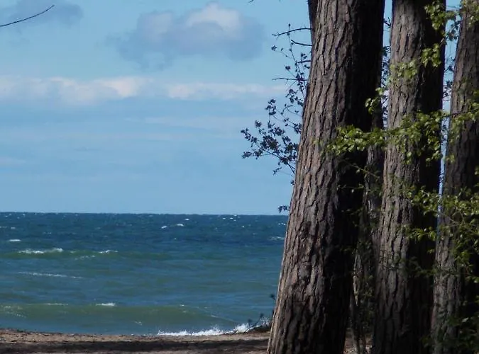 Goscinne Neptunia 3* ياروسوافيتس