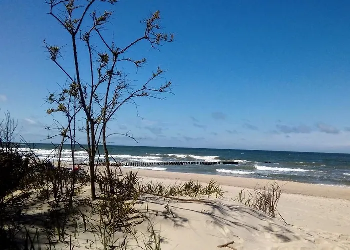 Goscinne Neptunia 3* ياروسوافيتس